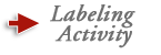 Hyperlink to Labeling Activity